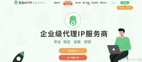 智能化选择 长效代理IP与票务代理服务器分析指南